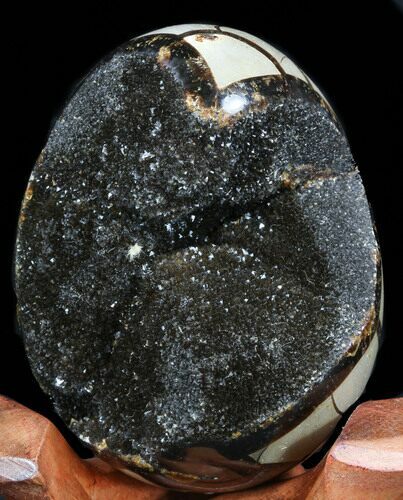 Septarian Dragon Egg Geode - Black Calcite Crystals #34704